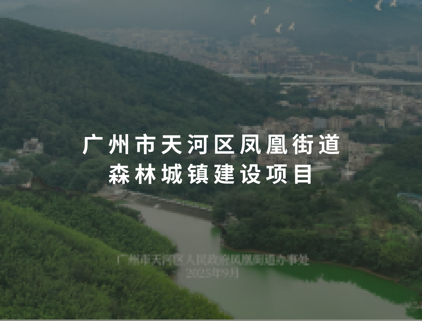 6a0d7355081f6
