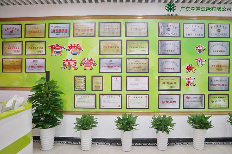 万利官网-相信品牌力量