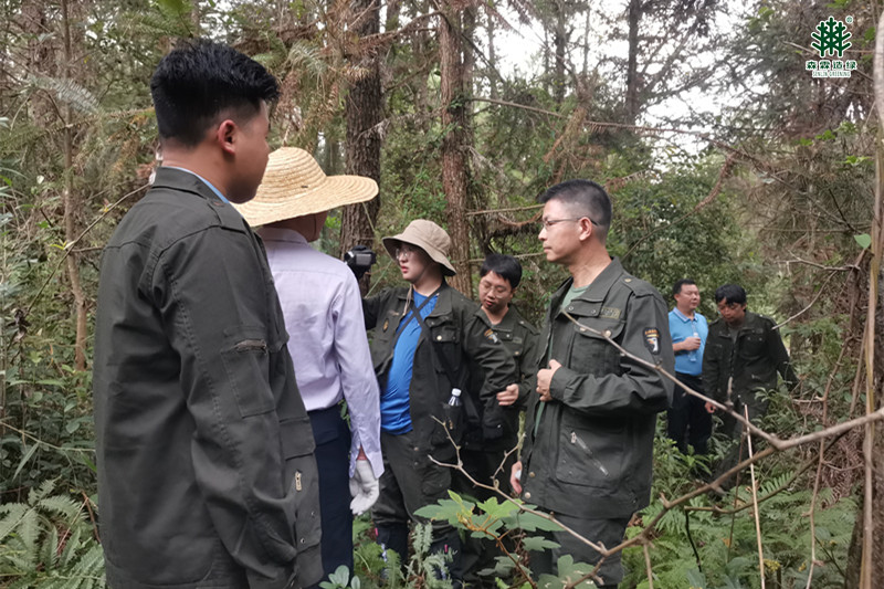 万利官网-相信品牌力量