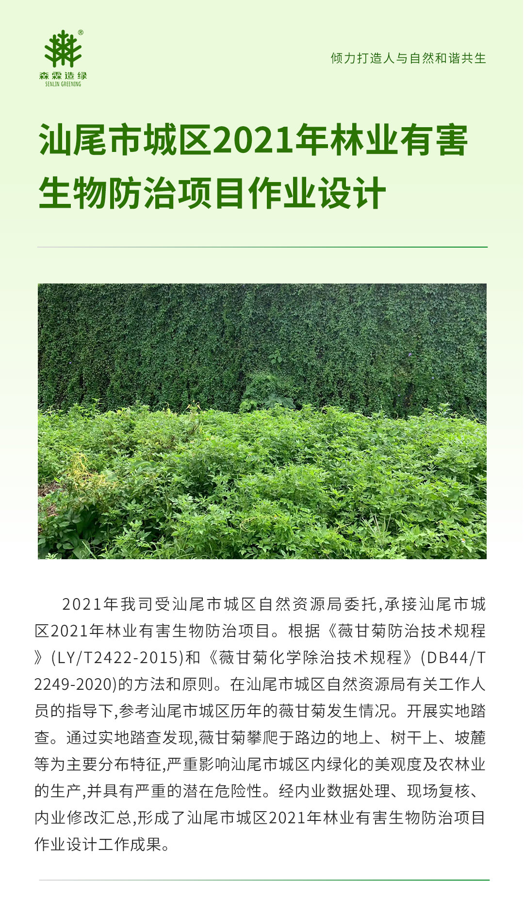 万利官网-相信品牌力量