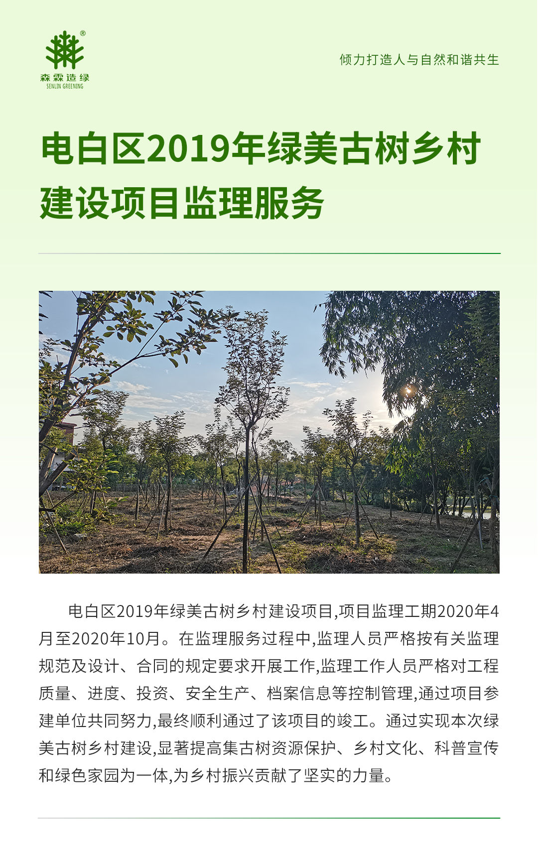 万利官网-相信品牌力量